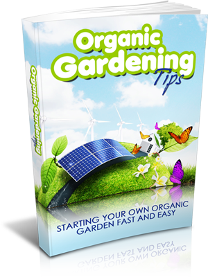 Organic Gardening Tips